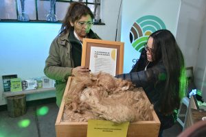 Belén Elmiger: “Es un producto nuestro y tenemos que darle la oportunidad”