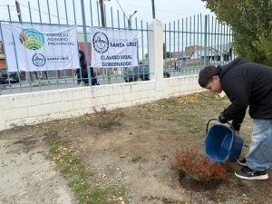 Se realizó jornada de forestación en la escuela 63 de Río Gallegos