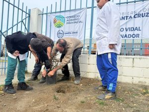 Se realizó jornada de forestación en la escuela 63 de Río Gallegos