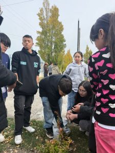 Se realizó jornada de forestación en la escuela 63 de Río Gallegos