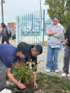 Se realizó jornada de forestación en la escuela 63 de Río Gallegos