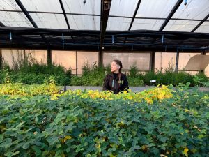 Santa Cruz participó en la VI Jornada Binacional sobre Incendios Forestales en Chile