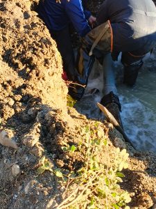 Servicios Públicos repara una cañería en calle 25 de Mayo y advierte baja presión en el centro