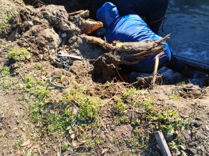 Servicios Públicos repara una cañería en calle 25 de Mayo y advierte baja presión en el centro