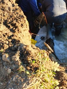 Servicios Públicos repara una cañería en calle 25 de Mayo y advierte baja presión en el centro