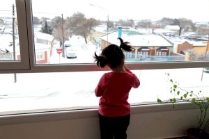 IVº Concurso de Fotografía Ambiental: Se conoció la nómina de ganadores