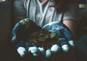 IVº Concurso de Fotografía Ambiental: Se conoció la nómina de ganadores