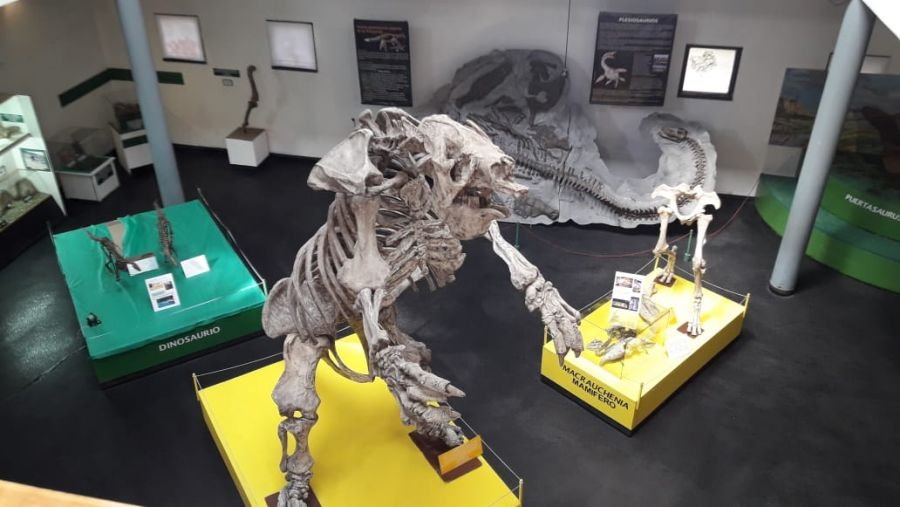 Reabrió la Sala de Paleontología del Museo “Padre Jesús Molina"