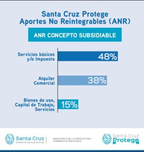 El Gobierno presentó los resultados de la primera etapa del plan Santa Cruz Protege