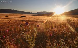 Edición especial del Rincón del Fotógrafo virtual por el Día Mundial del Turismo