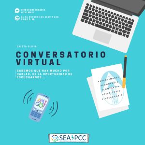 El Gobierno Provincial realiza Conversatorio Virtual sobre Consumo Problemático en Zona Norte