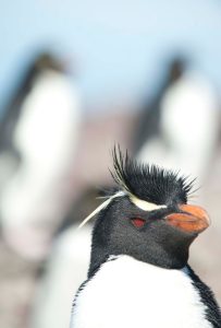 Santa Cruz estará en el encuentro más prestigioso de la industria del Turismo de Aventura y Naturaleza de Latinoamérica
