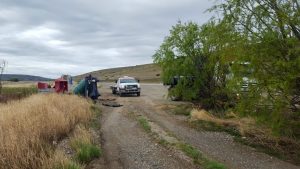 Vialidad Provincial concretó tareas de limpieza en la Ruta Provincial Nº 5