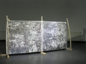 Artista santacruceña participará en el 48° Salón de Artes Visuales de Tucumán
