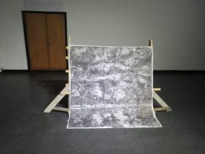 Artista santacruceña participará en el 48° Salón de Artes Visuales de Tucumán