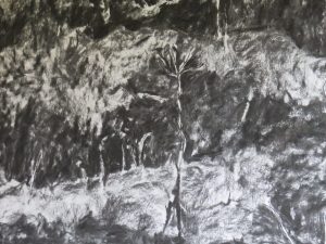 Artista santacruceña participará en el 48° Salón de Artes Visuales de Tucumán