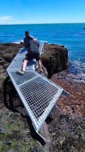 Avanza la obra de pasarelas para la Isla Pingüino