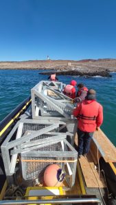Avanza la obra de pasarelas para la Isla Pingüino