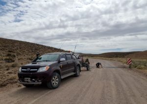 Vialidad Provincial concretó tareas de reparación de guardaganados