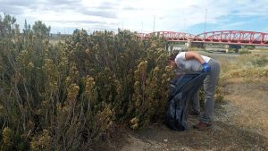 Se llevó adelante una jornada de limpieza en Palermo Aike