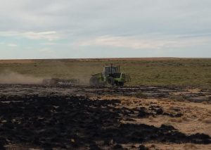 Vialidad Provincial participó de la labor que se concretó para sofocar incendio en Estancia Punta Loyola