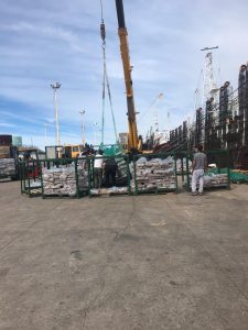 Buen comienzo de año para los puertos de la provincia