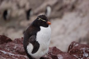 La naturaleza pura se puede disfrutar en las áreas protegidas del Corredor de la Ruta Azul