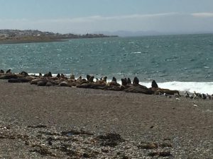 La naturaleza pura se puede disfrutar en las áreas protegidas del Corredor de la Ruta Azul