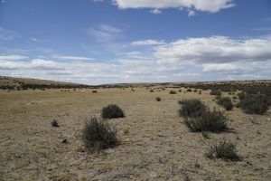 Autoridades Provinciales recorrieron el Cañadón Del Baile junto a miembros de la Comunidad Camusu Aike