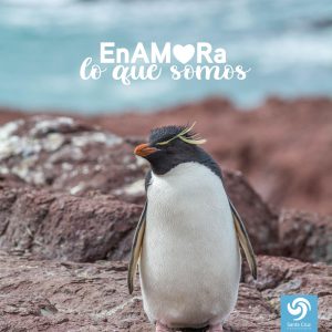 Destacan la campaña “En Amor A Santa Cruz” por el Día de lxs Enamoradxs