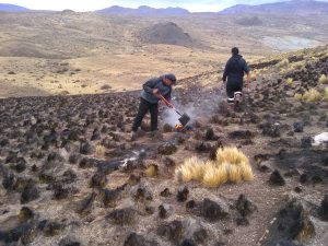 Concretaron acciones para sofocar el incendio en Estancia El Salitral