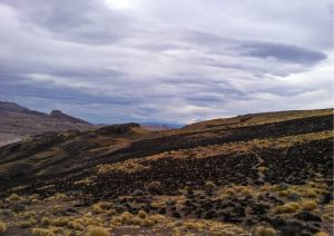 Concretaron acciones para sofocar el incendio en Estancia El Salitral