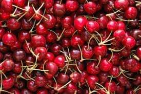 Implementan normas de calidad para mejorar la competitividad de empresas de alimentos en Santa Cruz