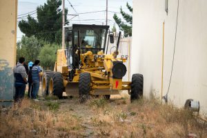 Realizan tareas de acondicionamiento en el CEPARD