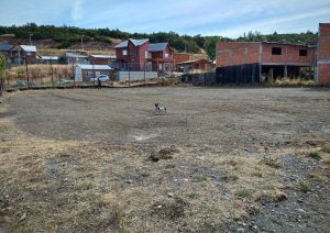 Autoridades de Vialidad Provincial desarrollaron extensa agenda de trabajo en la Cuenca Carbonífera