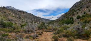 Avanzan las acciones para la apertura de la traza para unir Tres Lagos con Cochrane