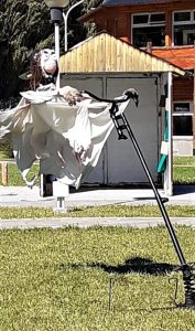 “Acciones Verdes” promueve las acciones con eje en el cuidado del ambiente