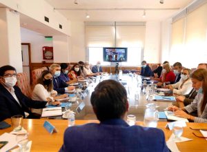 Santa Cruz participó en una nueva reunión del Consejo Federal de Desarrollo Social