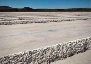 Vialidad Provincial trabaja en la cosecha y acopio de sal de cara al Plan Invernal 2021