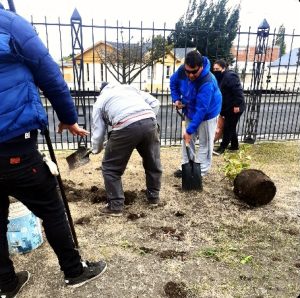 El Colectivo de Artistas "Viento Negro" plantó árboles por la Memoria, Verdad y Justicia