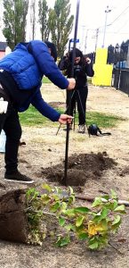 El Colectivo de Artistas "Viento Negro" plantó árboles por la Memoria, Verdad y Justicia