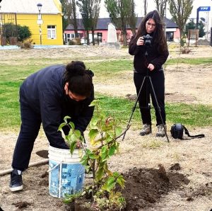 El Colectivo de Artistas "Viento Negro" plantó árboles por la Memoria, Verdad y Justicia