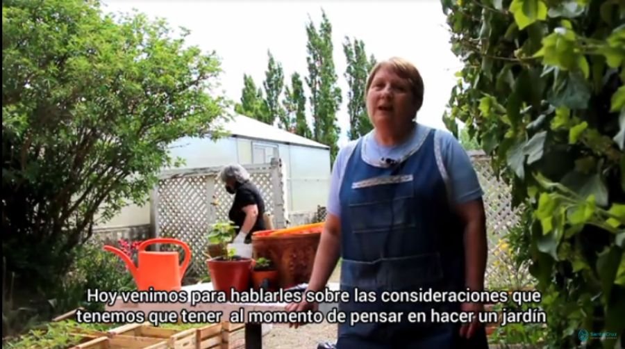Jardinería en el Hogar: Tips para tener en cuenta