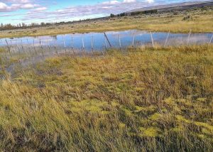 Avanza la extensión de redes de gas en Gobernador Gregores