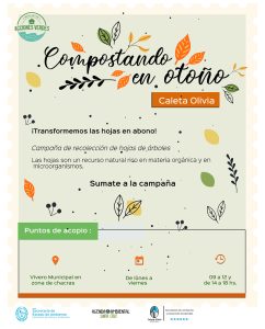 Acciones Verdes: Inicia la campaña de recolección de hojas de árboles “Compostando en Otoño”