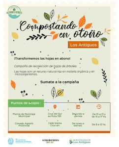 Acciones Verdes: Inicia la campaña de recolección de hojas de árboles “Compostando en Otoño”