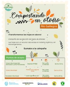 Acciones Verdes: Inicia la campaña de recolección de hojas de árboles “Compostando en Otoño”