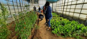 Niñez y Adolescencia: Avanza el programa Somos Santa Cruz