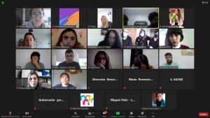 Se realizó una nueva sesión del Consejo Provincial de Niñez