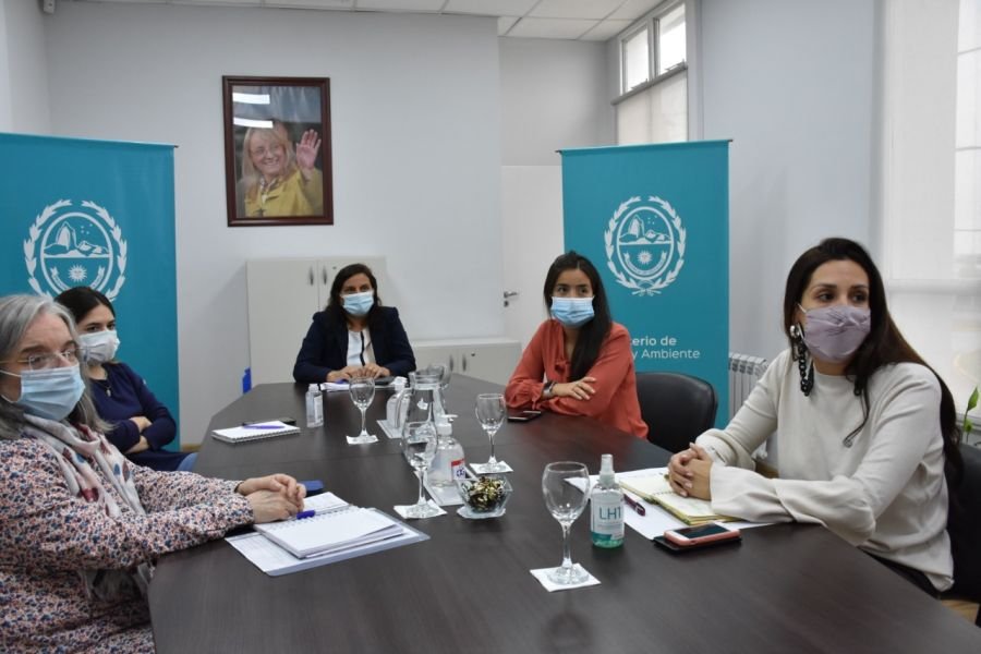 Semana del Parto Respetado: Santa Cruz participó del encuentro virtual con Nación